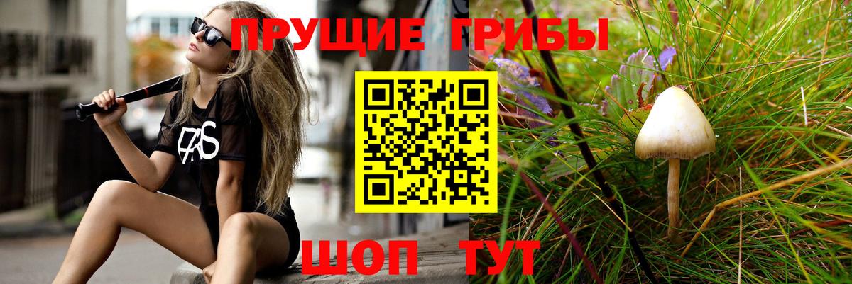 Псилоцибиновые грибы GOLDEN TEACHER Усть-Илимск